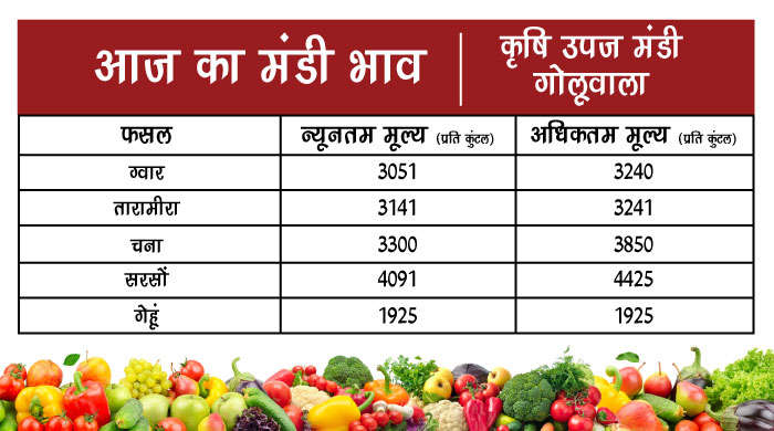 देखिये राजस्थान में आज का मंडी भाव!