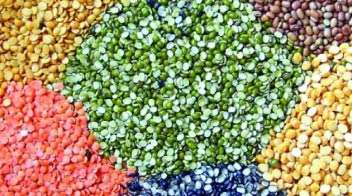 दलहनी फसलों की उचित वृद्धि एवं विकास के लिए!