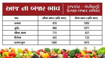 આજ ના બજાર ભાવ