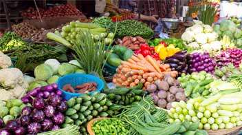 Summer season vegetables