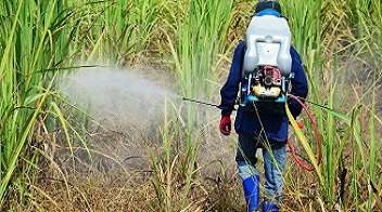 Precautions to be taken during the use of Weedicides or Herbicides.