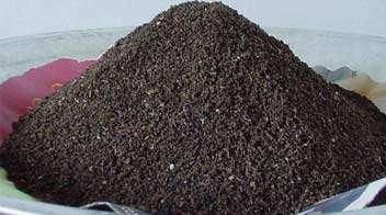 Vermicompost Improves Immune System of Plants