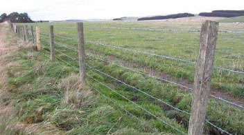 तारबंदी योजना राजस्थान