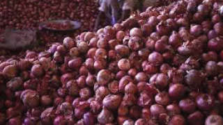 Central Government to Create Buffer Stock of One Lakh Tonnes of Onions