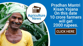 PM-Kisan scheme: Now 2000 crores will come to the account of 10 crores farmers!
 

