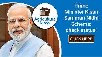 Prime Minister Kisan Samman Nidhi Scheme: check status!
 

