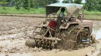 धान के लिए खेत की तैयारी!