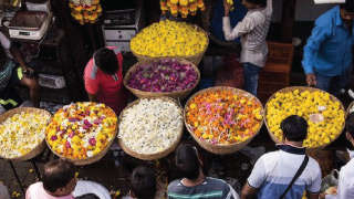 हरियाणा में आधुनिक सुविधा युक्त फल और फूल मंडी बनेगी