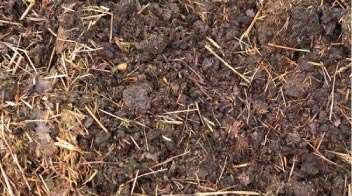 Know how cow dung is beneficial for crops and soil!_x000D_
 _x000D_
 _x000D_
_x000D_
