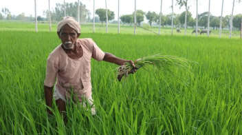 सरकार का बड़ा फैसला, रबी सीजन में भी किसानों को दिया जाएगा 6 हजार करोड़ का ब्याजमुक्त फसली कर्ज!
