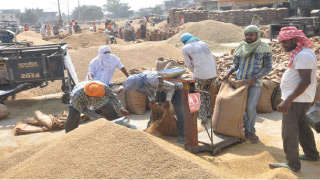 Government procurement of rice crosses 101 lakh tonnes