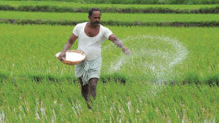 Need to use fertilizer in a balanced way in agriculture - Agriculture Minister