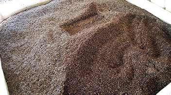 गांडूळ खत तयार करण्याची पद्धत