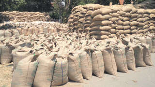 FCI's Authorized Capital Increased, Grain Packing Mandatory in Jute
