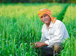 Proposal to increase MSP of Rabi crops by 7%