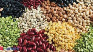 Government asked pulses millers to import pulses by 31 October