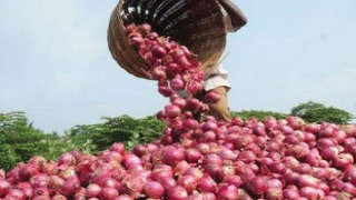 Government Orders Import of 4,000 Tonnes Onions