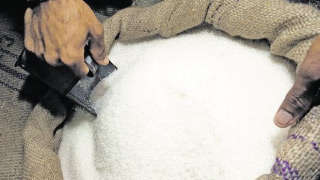 Sugar Production in the Country is 5 Lakh Tonnes