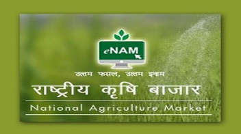 Centre pushes eNAM in states without APMCs