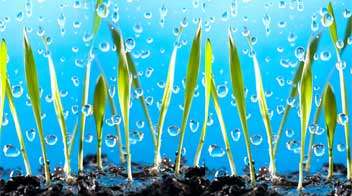 Maximize germination of seeds in Kharif season