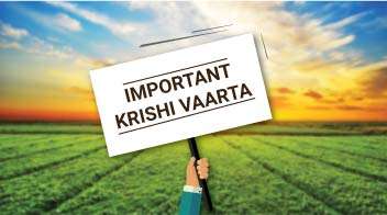 The sowing of Kharif crops slowed due to lack of rainfall