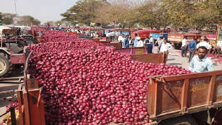 Afghan onions are now available in India