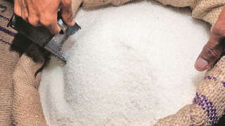 Sugar export season started