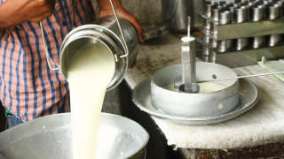 Eight thousand crore investment plan for dairy industry