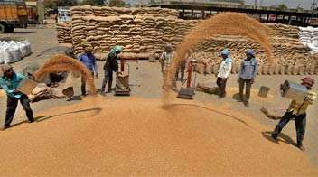 Government wheat became expensive by Rs 55
