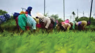 किसानों के लिए 6660 करोड़ रुपये का फंड बनाएगी सरकार