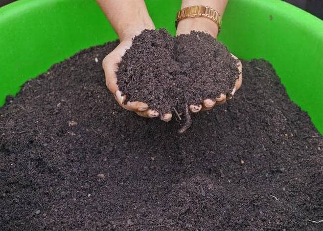 Make rich organic compost easily at home and get a bumper production through best out of waste