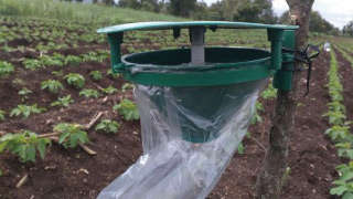 Use of Pheromone Traps in Integrated Pest Management