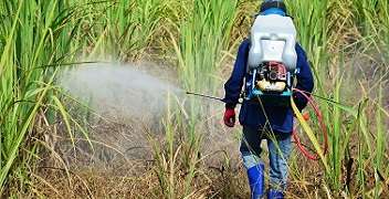 Precautions to be taken during the use of Weedcides or Herbicides.