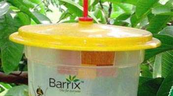 Barrix Catch Fruit Fly Trap Set - Barrix