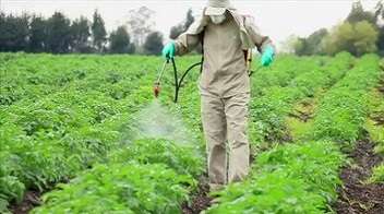 Measures to prevent poisoning while spraying pesticides