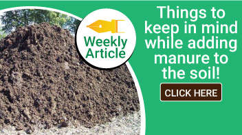 Things to keep in mind while adding manure to the soil!