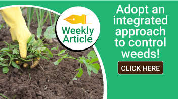 Adopt an integrated approach to control weeds!
