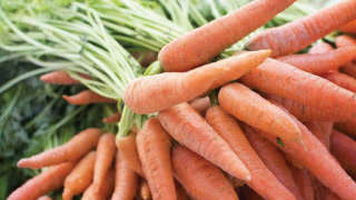 Manure and Fertiliser Management in Carrots
