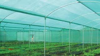 Importance of Shade House in Protective Farming