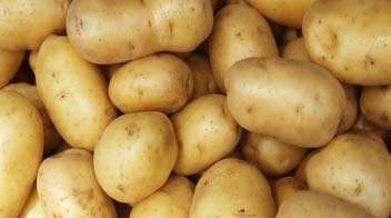 શાકભાજીના રાજા ગણાતા બટેટાના ભાવ આસમાને પહોંચ્યા