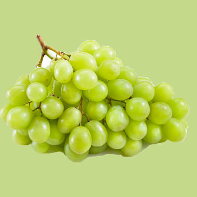 Maintenance of grape bunches