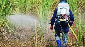 Important Checks to be Carried Out while Using Herbicides