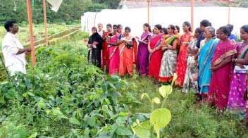 वर्ष 2022 तक देश में 75 लाख महिला स्व-सहायता समूह बनायेंगे : कृषि मंत्री