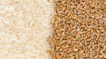 Brazil will Purchase Wheat from India