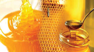 मध निर्यातीत मोठी वाढ