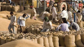 Brazil may Import Wheat, Rice and Millet from India