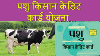 पशु किसान क्रेडिट कार्ड पर 1 लाख 60 हजार रुपये का मिलेगा ऋण!_x000D_
