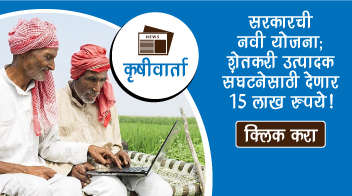  सरकारची नवी योजना; शेतकरी उत्पादक संघटनेसाठी देणार १५ लाख रुपये!