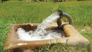 Irrigation Management in Gram