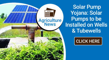 Solar Pump Yojana: Solar Pumps to be Installed on Wells & Tubewells
